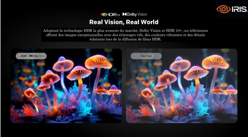 IRIS GOOGLE TV 55"Q7030 QLED+ 4K UHD