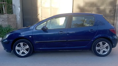 Peugeot 307 2002 307