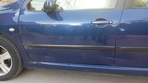 Peugeot 307 2002 307