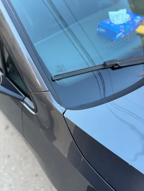 Volkswagen Golf 7 2019 Drive