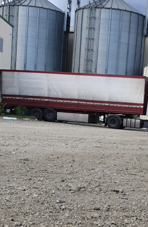 Fruehauf Marichal 1995