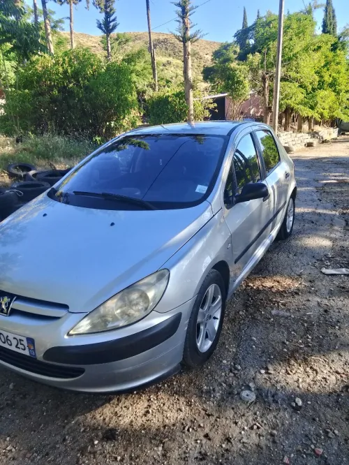 Peugeot 307 2006 Oxygo