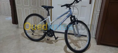 دراجة هوائية 