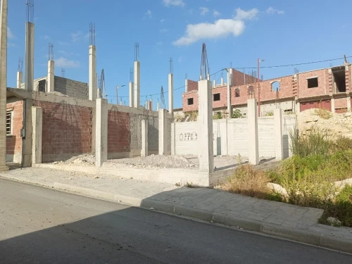 Vente Terrain Constantine Ain smara