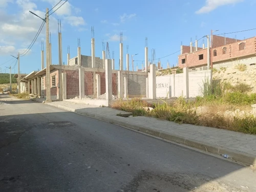 Vente Terrain Constantine Ain smara