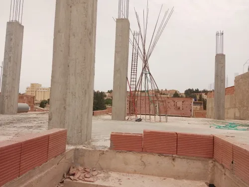 Vente Villa Tiaret Frenda
