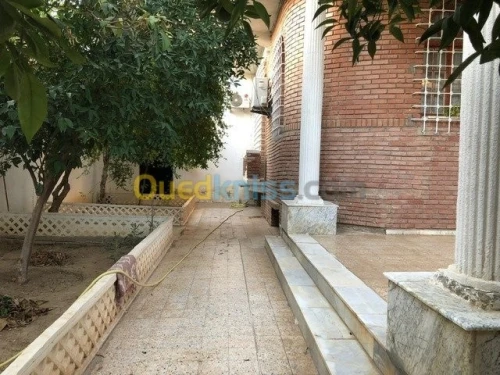Vente Villa Msila Msila