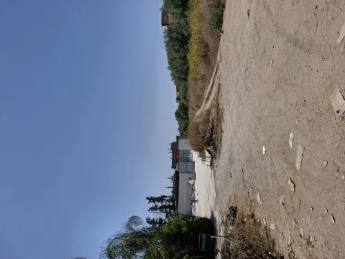 Vente Terrain Blida Boufarik