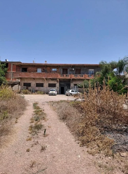 Vente Terrain Blida Boufarik