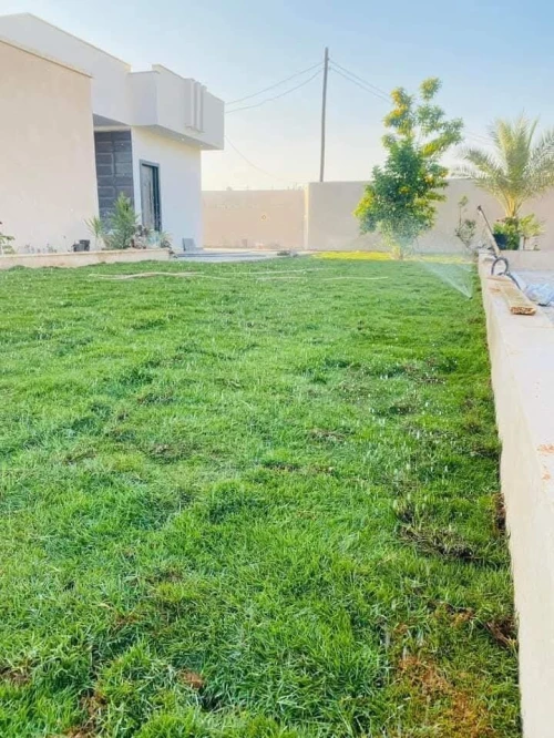 Gazon naturel عشب طبيعي
