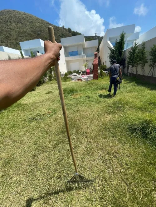 Gazon naturel عشب طبيعي