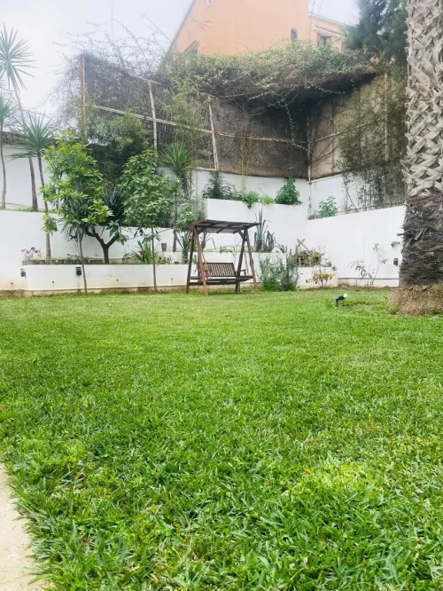 Gazon naturel عشب طبيعي