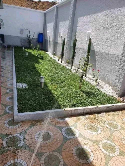 Gazon naturel عشب طبيعي