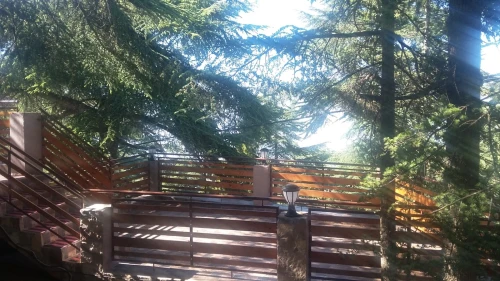 Location Bungalow Blida Chrea