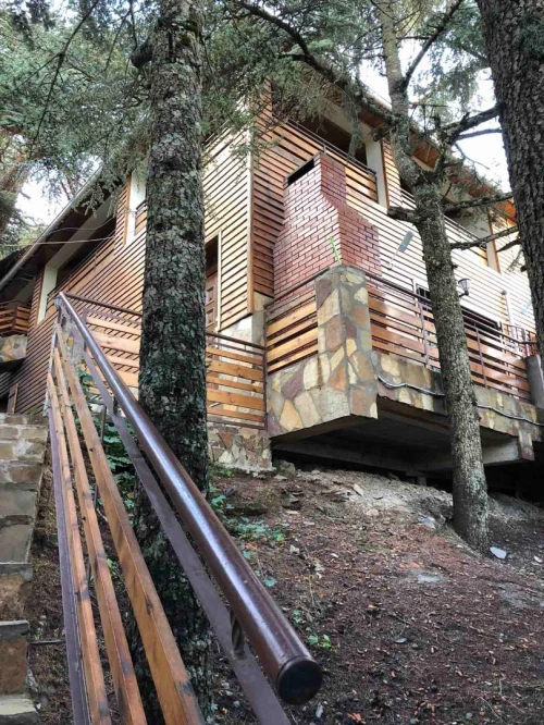 Location Bungalow Blida Chrea