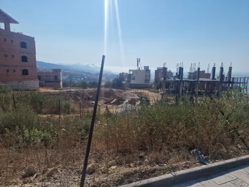Vente Terrain Tipaza Cherchell