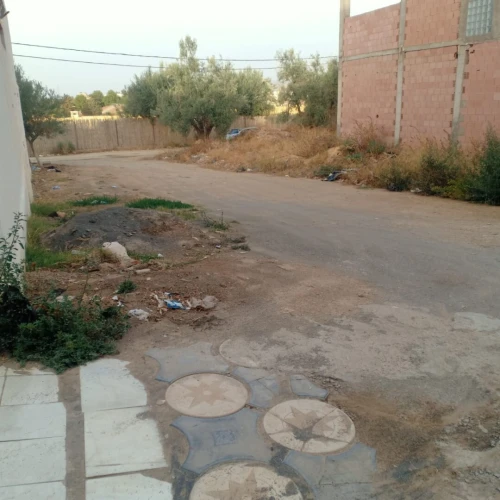 Vente Terrain Tlemcen Tlemcen