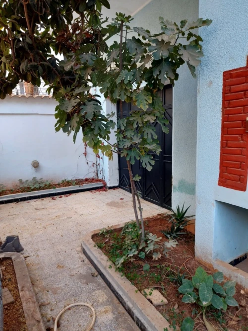 Vente Villa Tlemcen Tlemcen