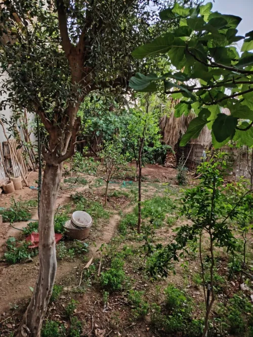 Vente Villa Tlemcen Ain youcef