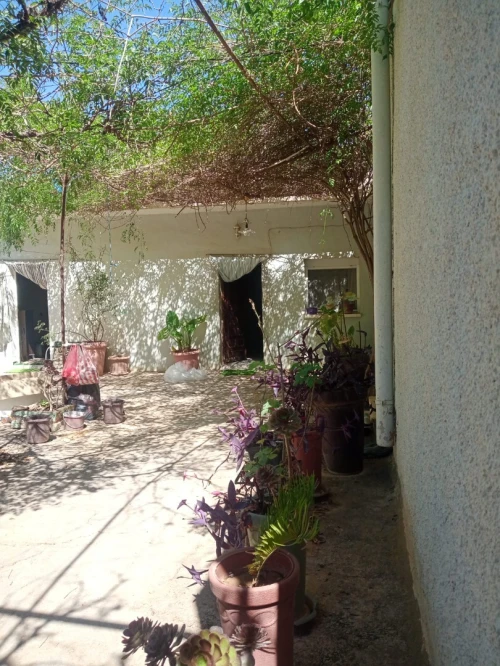 Vente Terrain Tlemcen Tlemcen