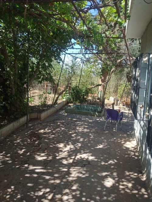 Vente Terrain Tlemcen Tlemcen