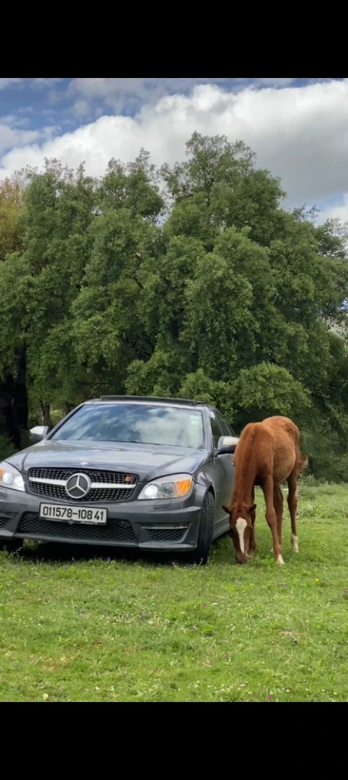 Mercedes Classe C 2008 220