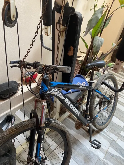 Vélo requin 29