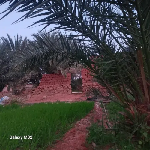 Vente Terrain Timimoun Timimoun