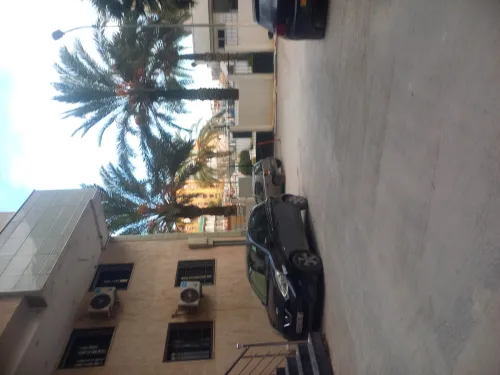 Location Appartement F3 Alger Bir mourad rais