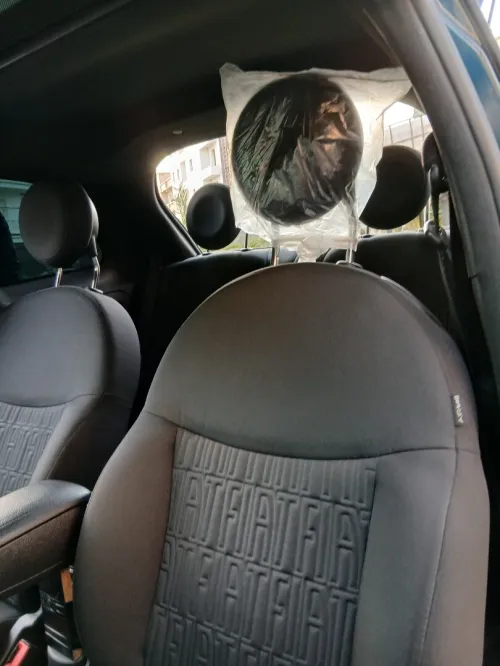 Fiat 500 2024 Dolcevita plus 