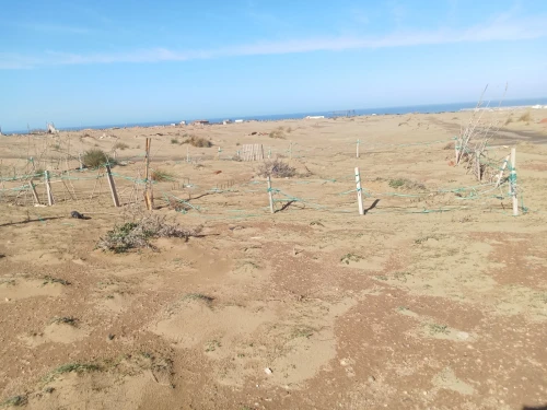 Vente Terrain Boumerdès Zemmouri