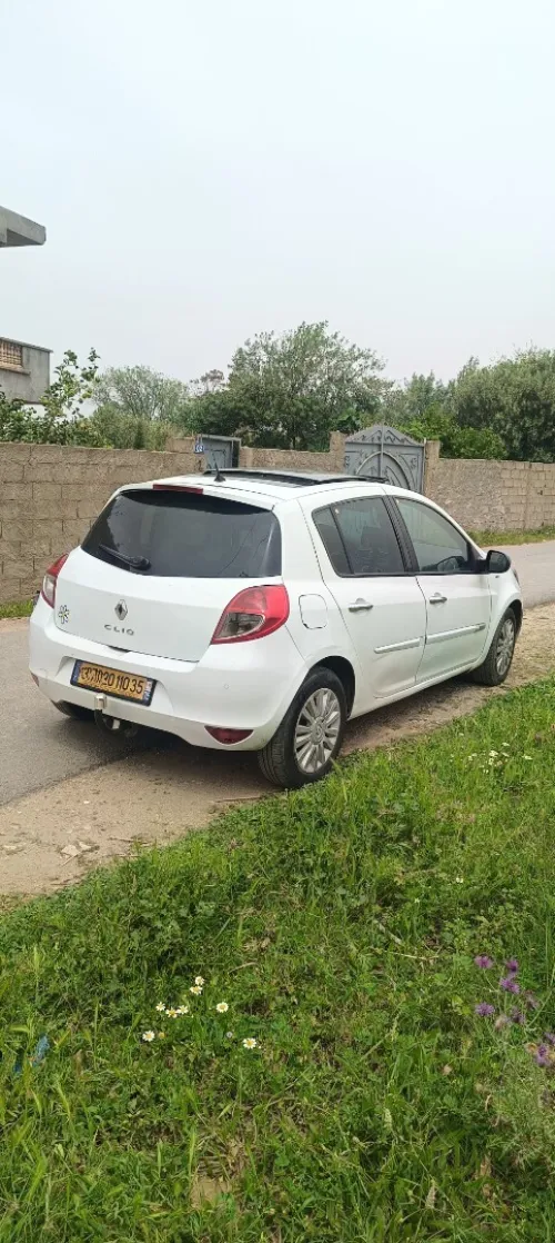 Renaulte Clio 3 2010 Night and day