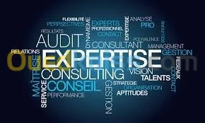 CONSULTANT en FINANCES / COMPTABILITE