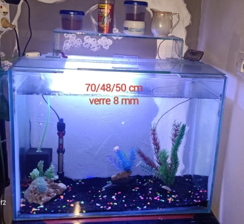 aquariums