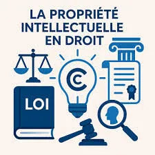 Expertises diveres
