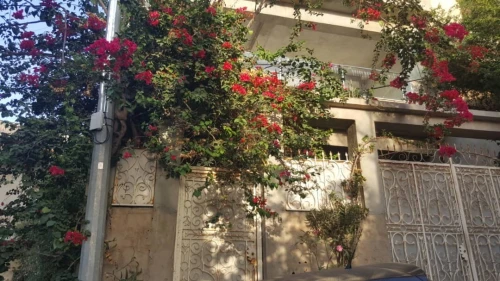 Location Appartement Niveau de villa F3 Tipaza Bou haroun