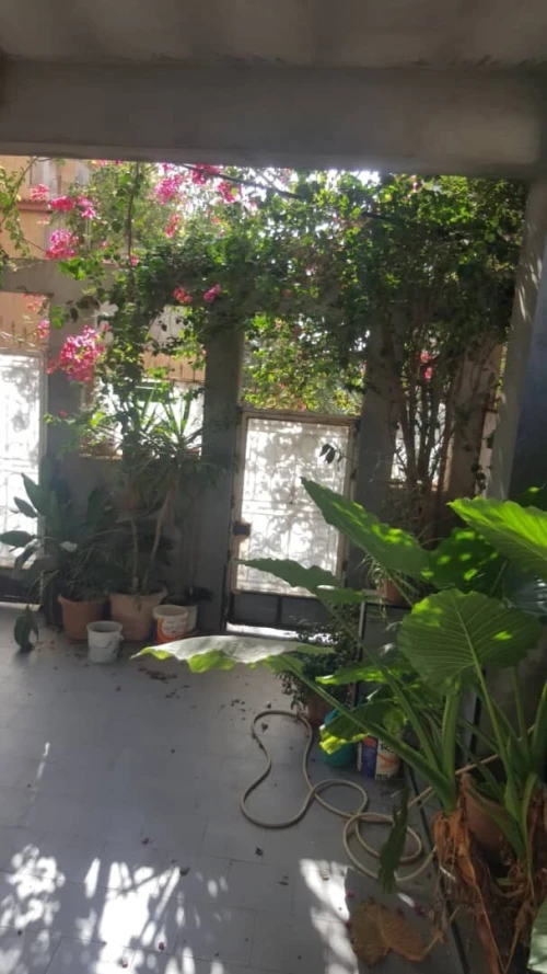 Location Appartement Niveau de villa F3 Tipaza Bou haroun