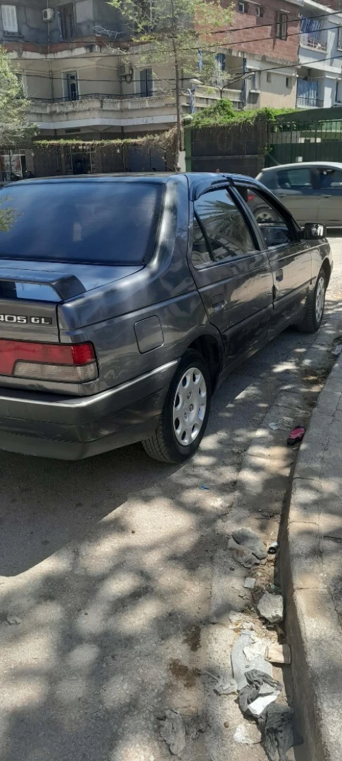 Peugeot 405 1991 405