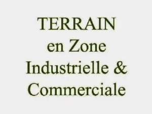 Vente Terrain Annaba Ain berda