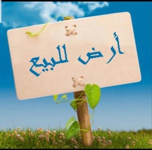 Vente Terrain Blida Beni mered
