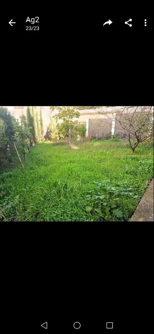 Location Appartement F5 Alger Saoula