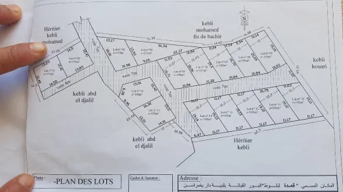 Vente Terrain Tlemcen El gor