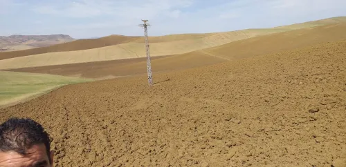Vente Terrain Agricole Médéa Tlatet eddouair