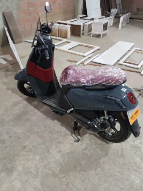 Vms Gemma 2025