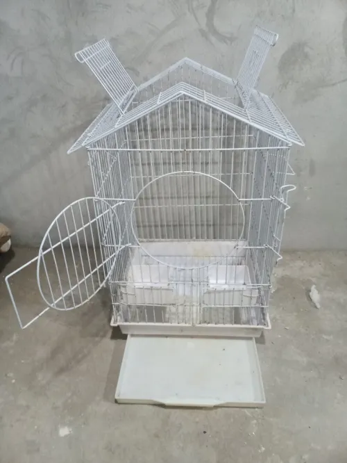 Cage perroquet gabonais