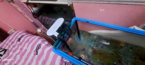 Aquarium 