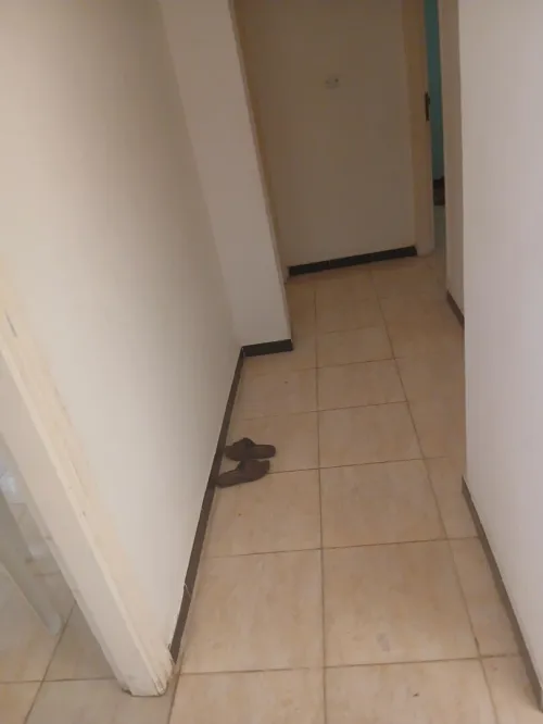 Location Appartement F3 Mostaganem Mostaganem