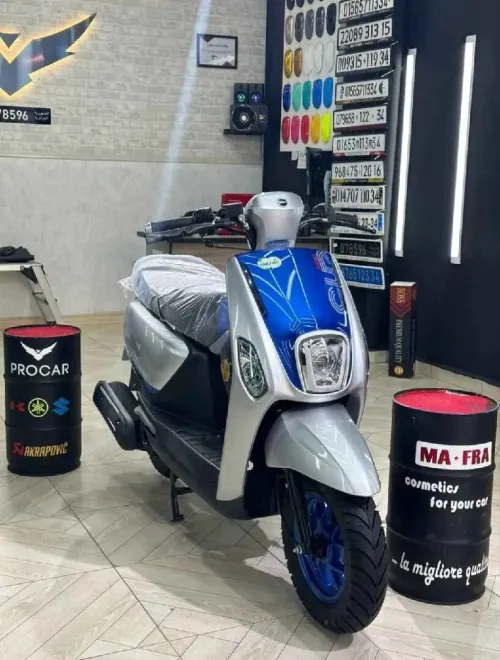 Vms Coxi 2025