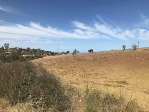 Vente Terrain Agricole Tlemcen Nedroma