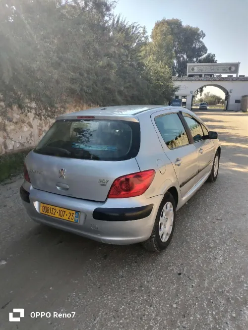 Peugeot 307 2007 307